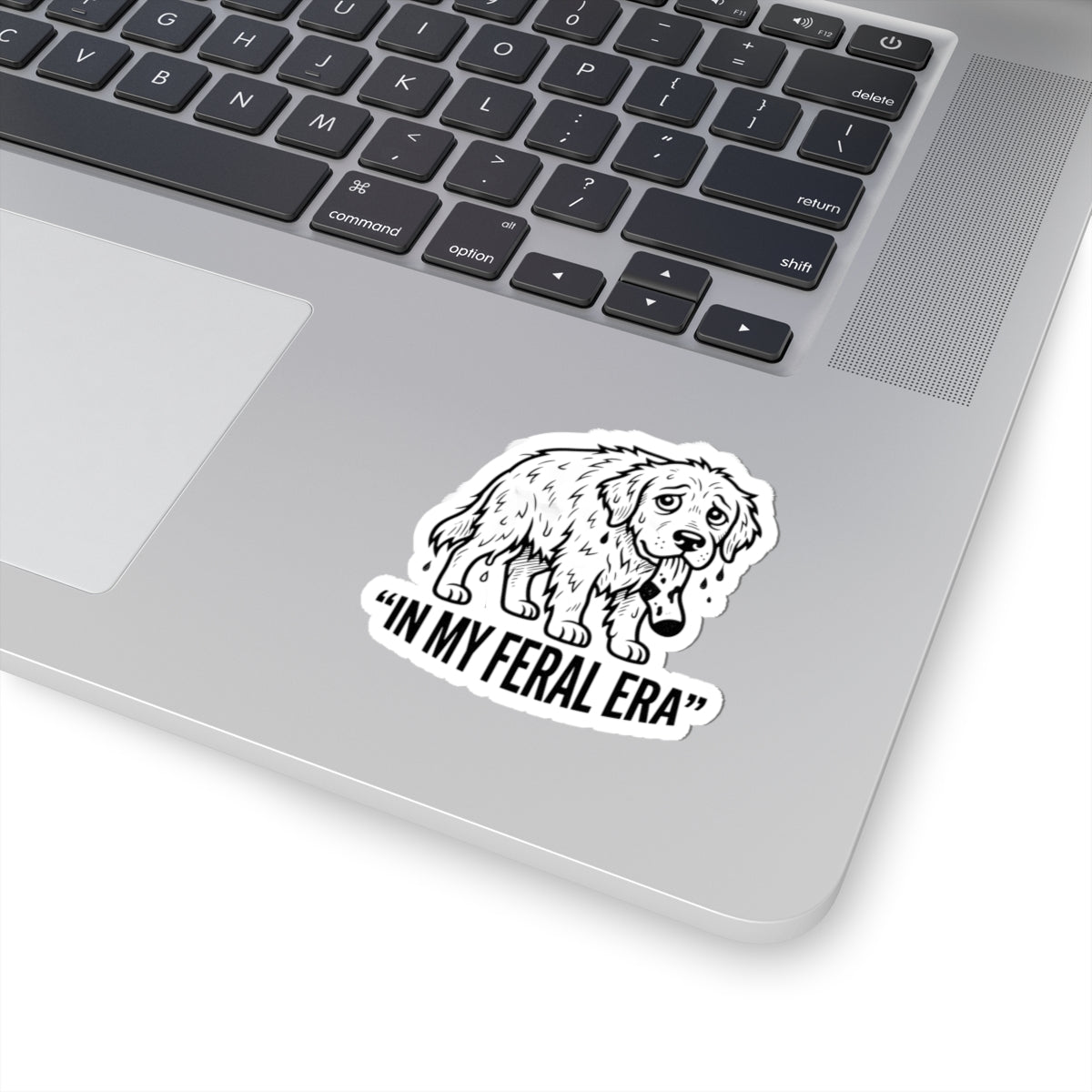 In My Feral Era Raccoon Introvert Sticker