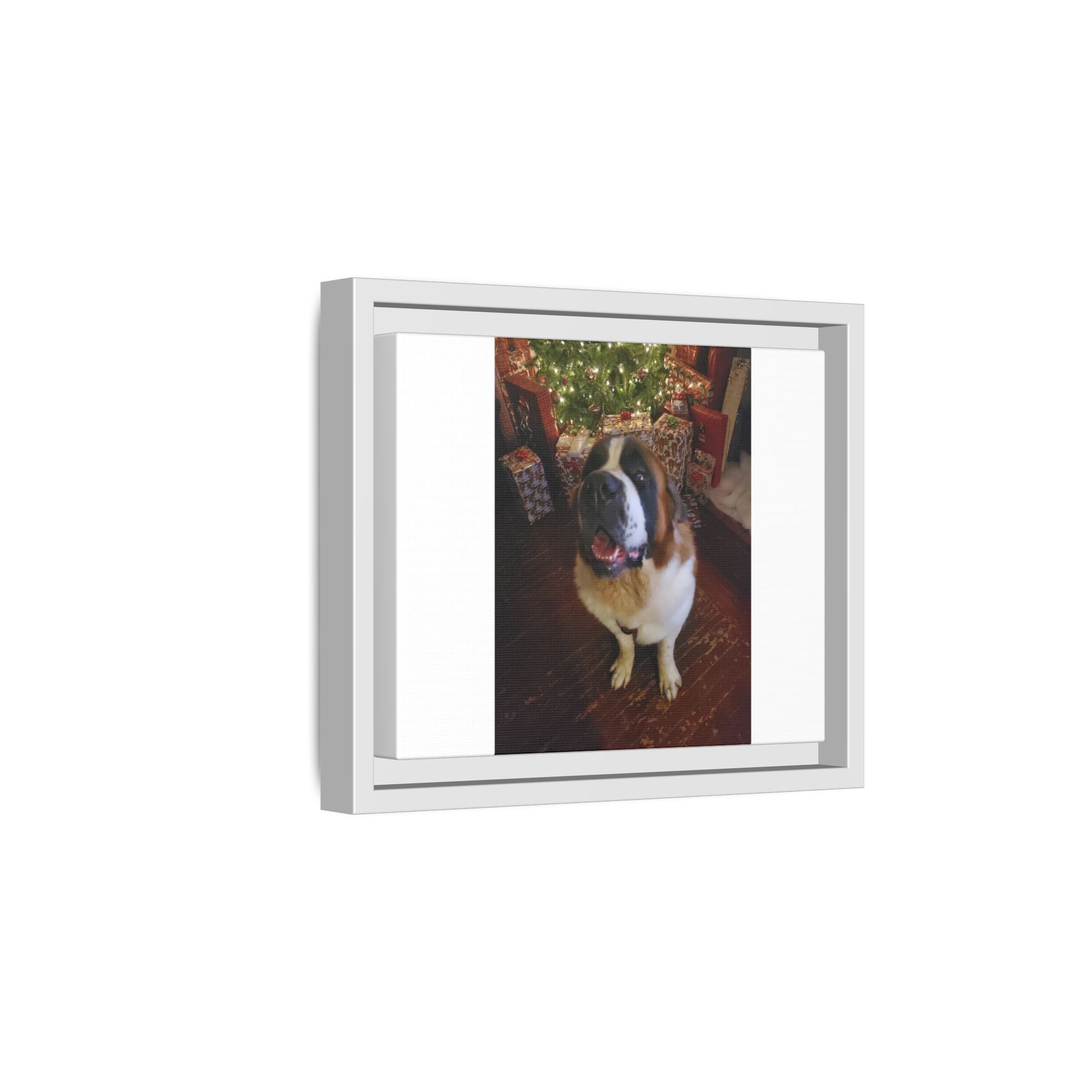 Framed Matte Canvas - Holiday St. Bernard Pet Photo Wall Art