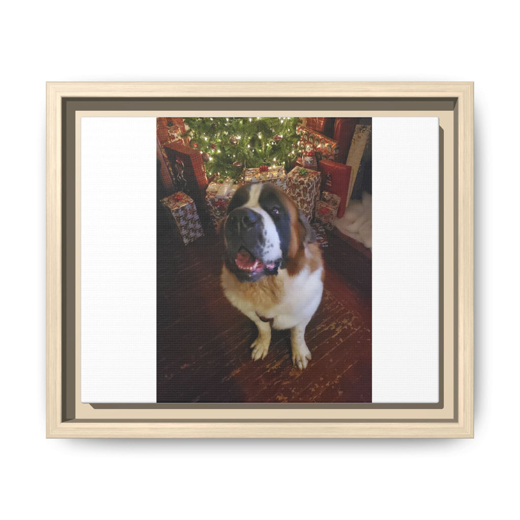 Framed Matte Canvas - Holiday St. Bernard Pet Photo Wall Art