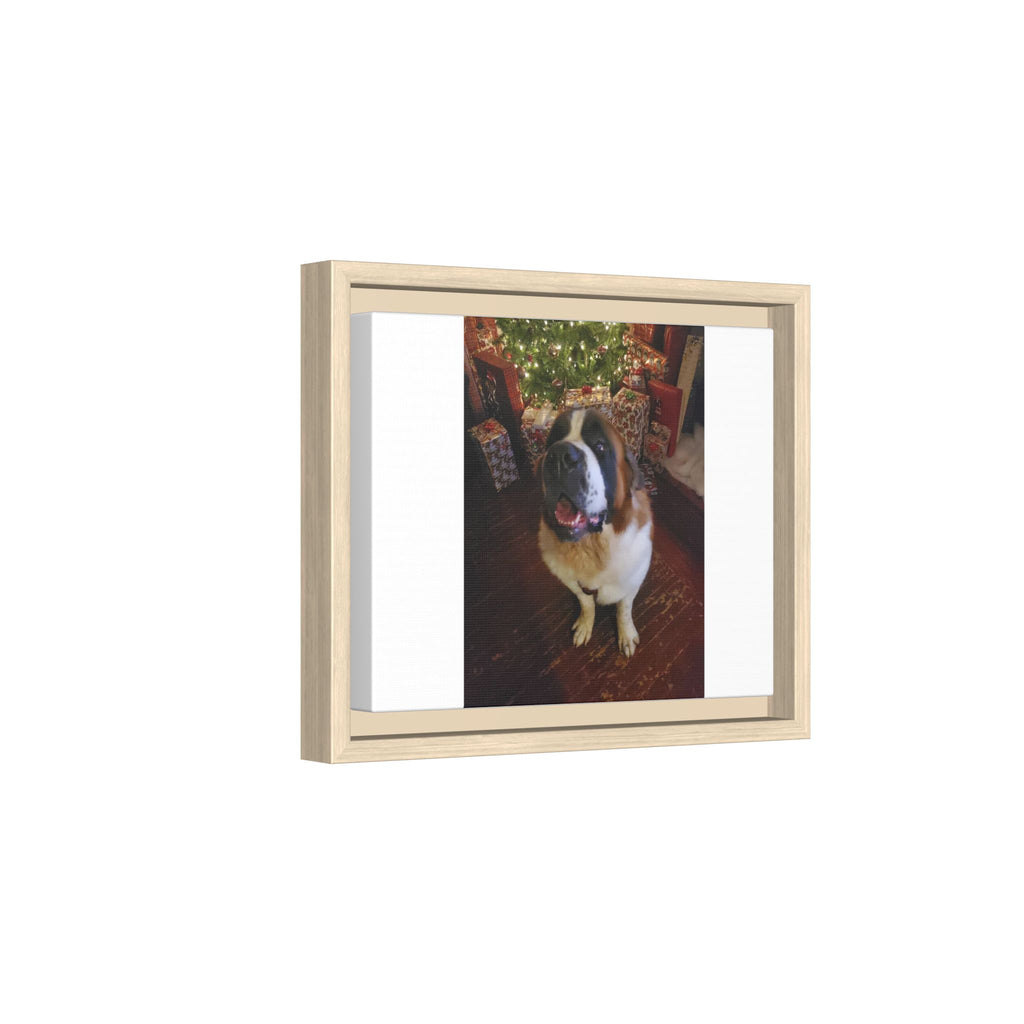 Framed Matte Canvas - Holiday St. Bernard Pet Photo Wall Art