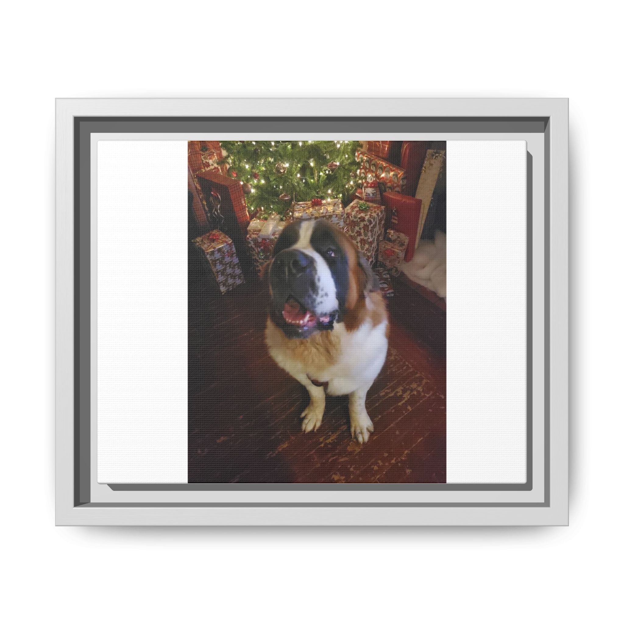 Framed Matte Canvas - Holiday St. Bernard Pet Photo Wall Art
