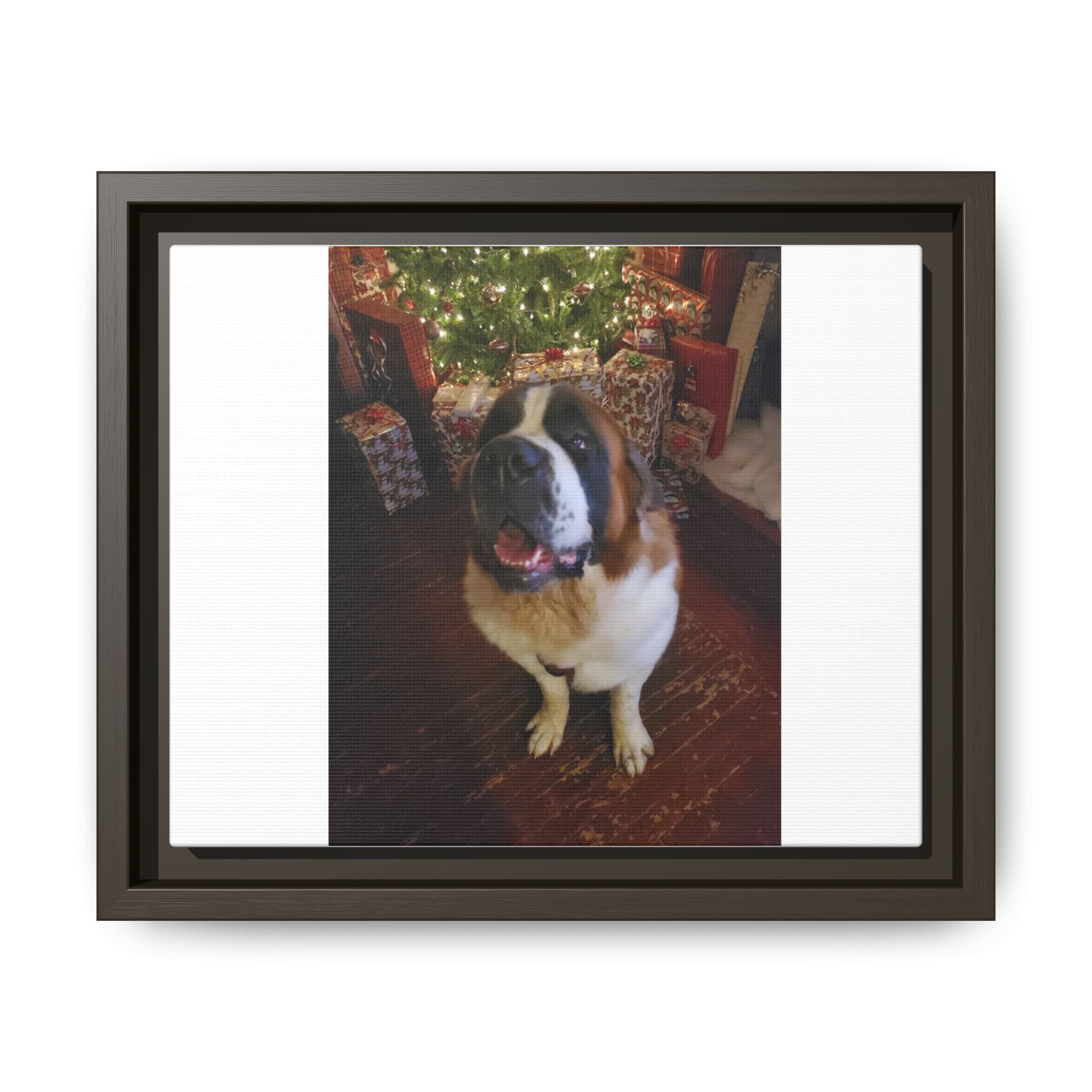 Framed Matte Canvas - Holiday St. Bernard Pet Photo Wall Art