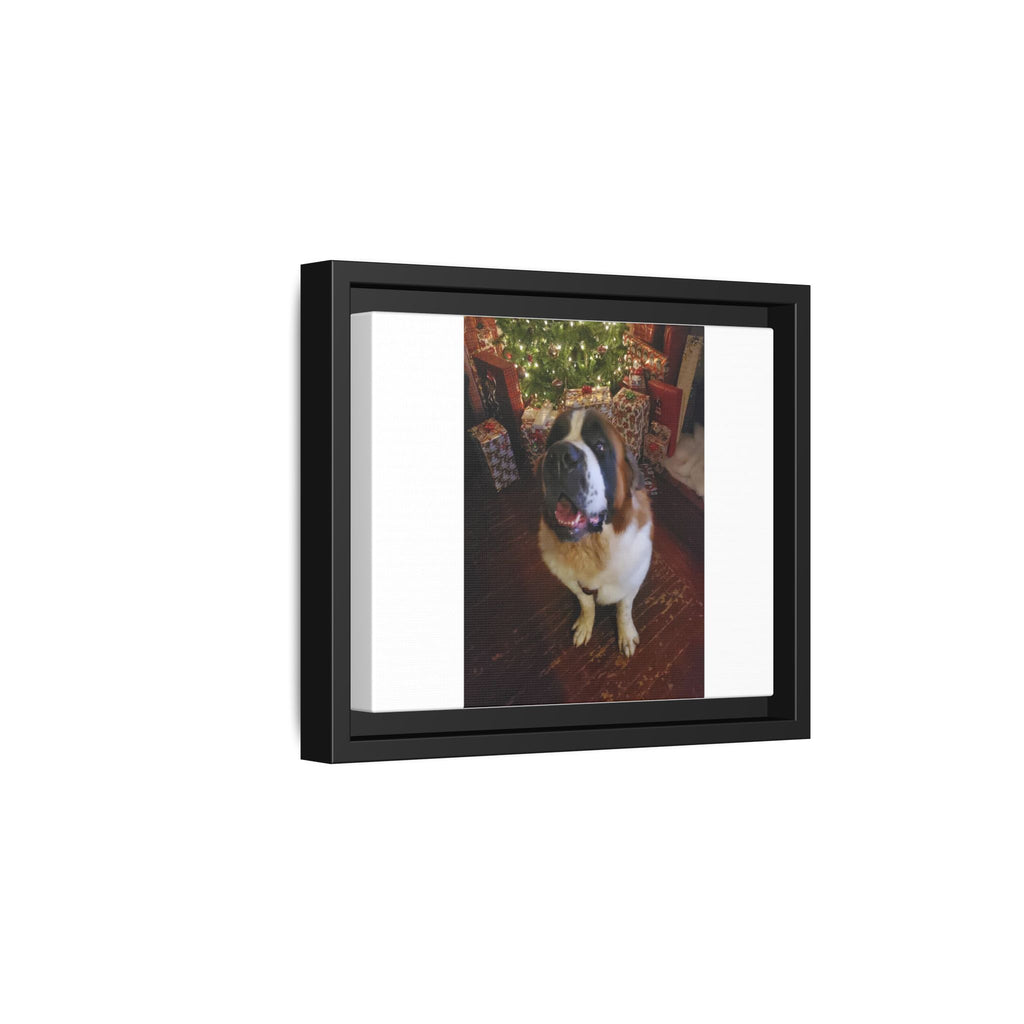 Framed Matte Canvas - Holiday St. Bernard Pet Photo Wall Art