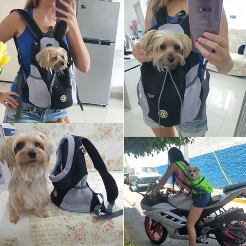 Mesh Pet Carrier Backpack for Cats & Dogs