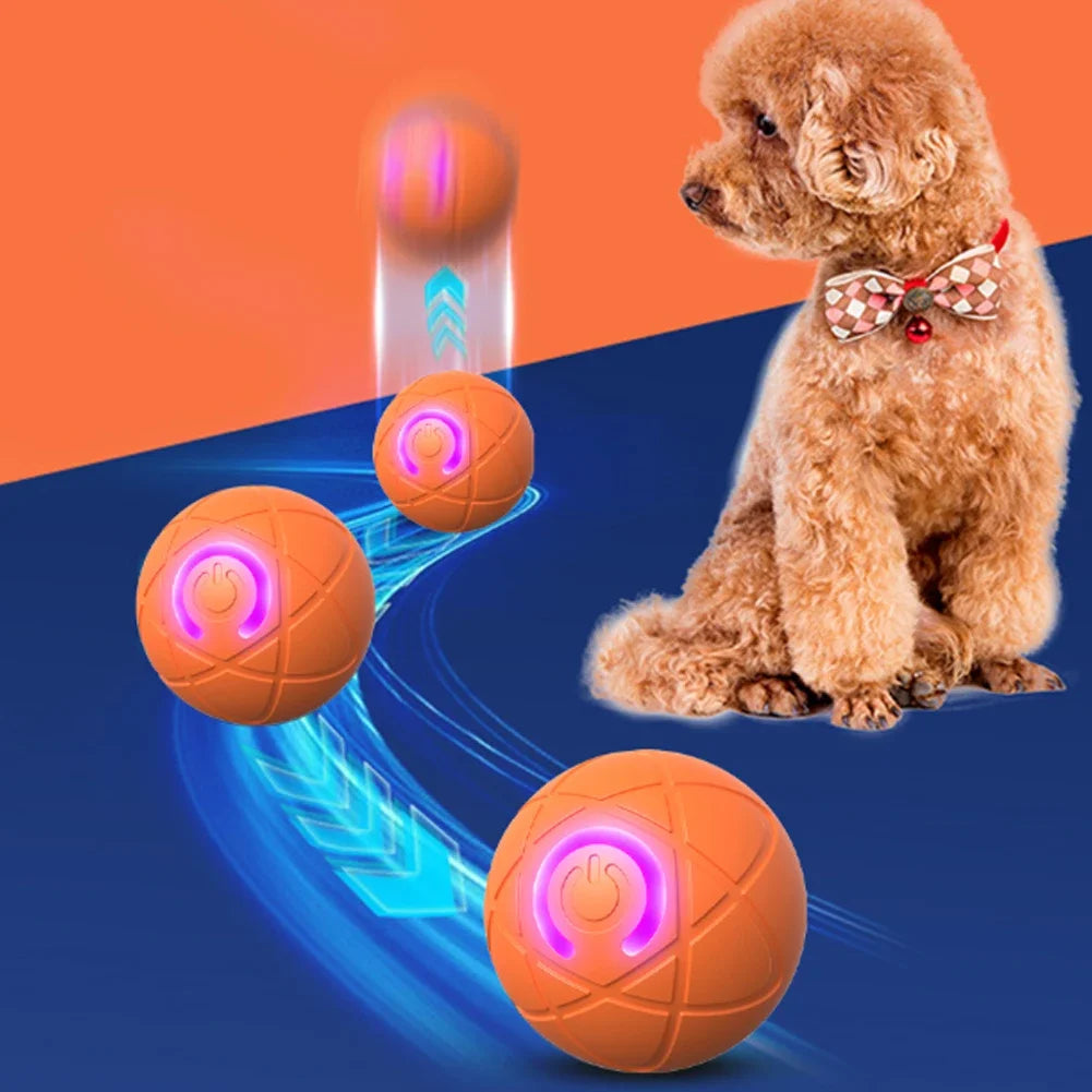 LED Auto-Rolling Dog Ball Toy