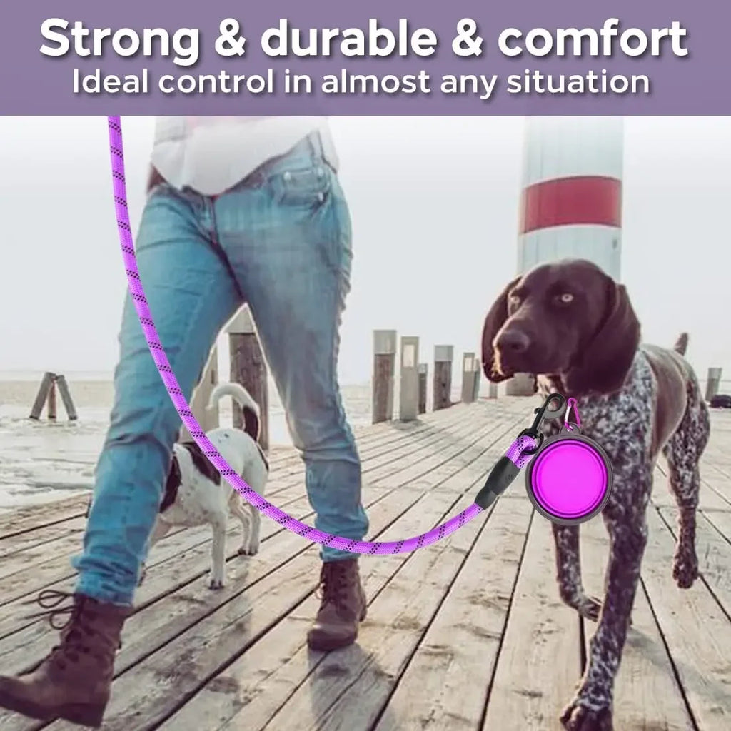 Reflective Dog Leash for Small, Medium & Large Dogs