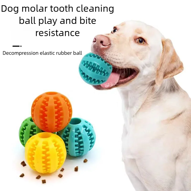 Rubber Dog Food Puzzle Ball — Non-Toxic Chew Toy