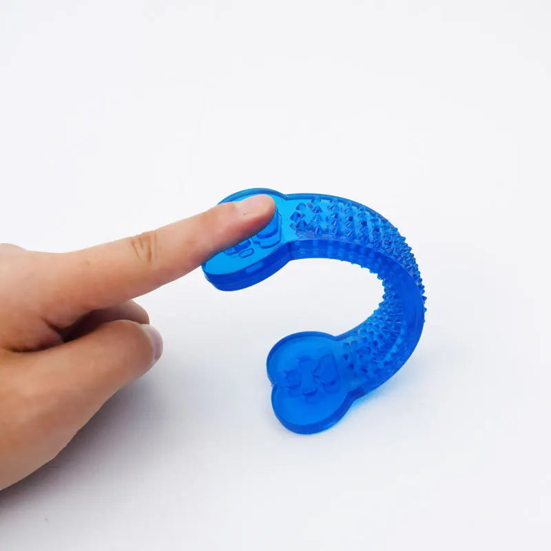 Rubber Bone Dog Chew Toy & Toothbrush