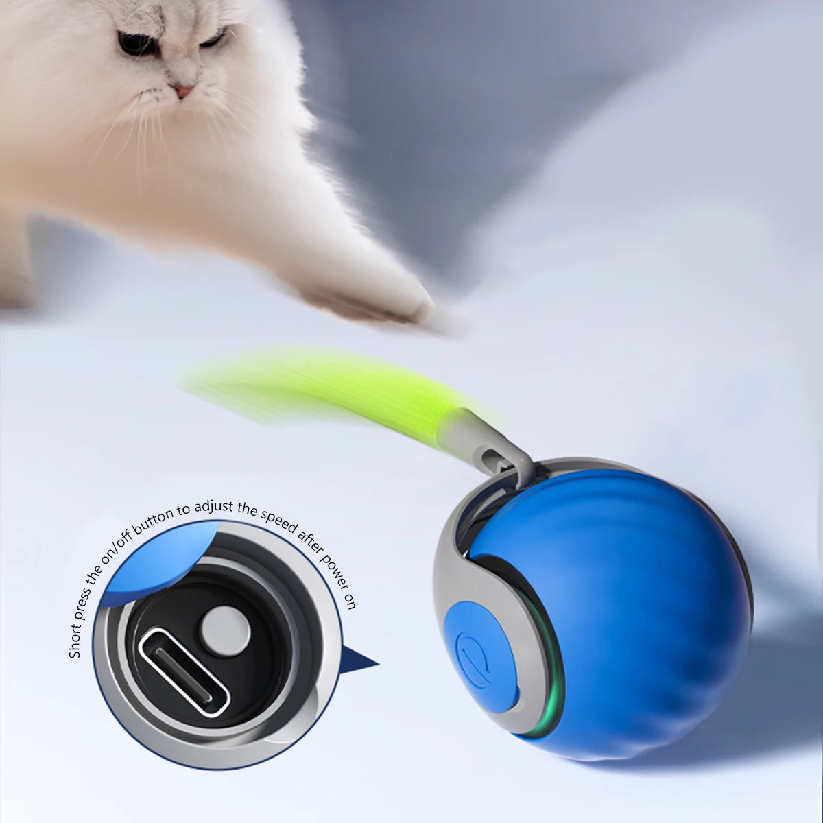 Rolling Tail Cat & Dog Toy Ball — Indoor & Outdoor