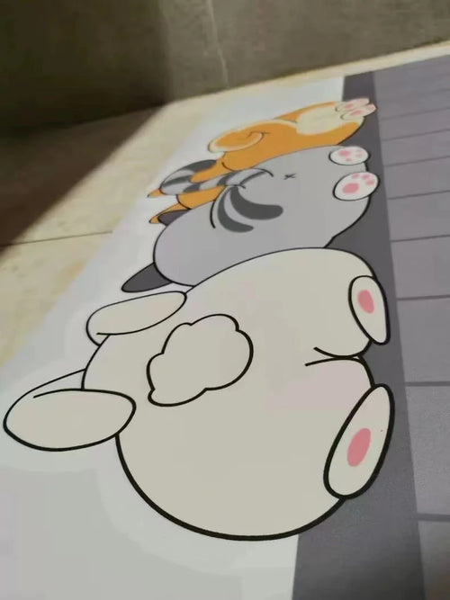 Absorbent Diatomite Bath Mat