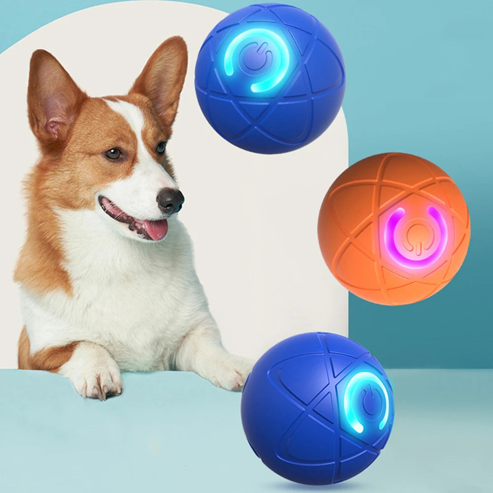 LED Auto-Rolling Dog Ball Toy