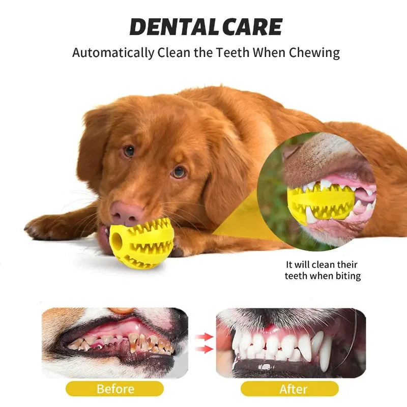 Rubber Dog Food Puzzle Ball — Non-Toxic Chew Toy