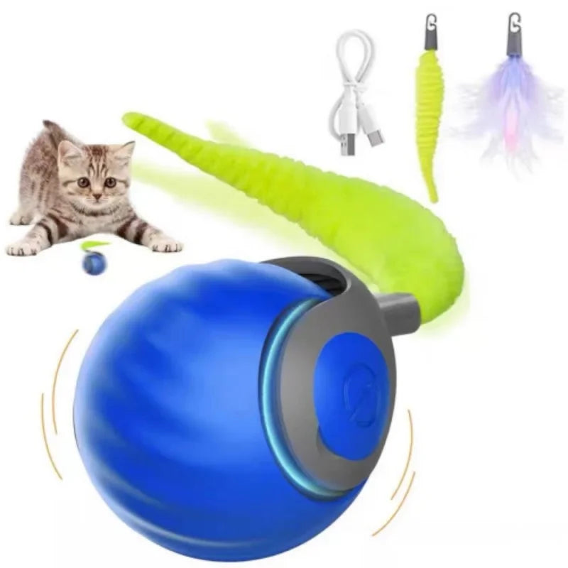 Rolling Tail Cat & Dog Toy Ball — Indoor & Outdoor