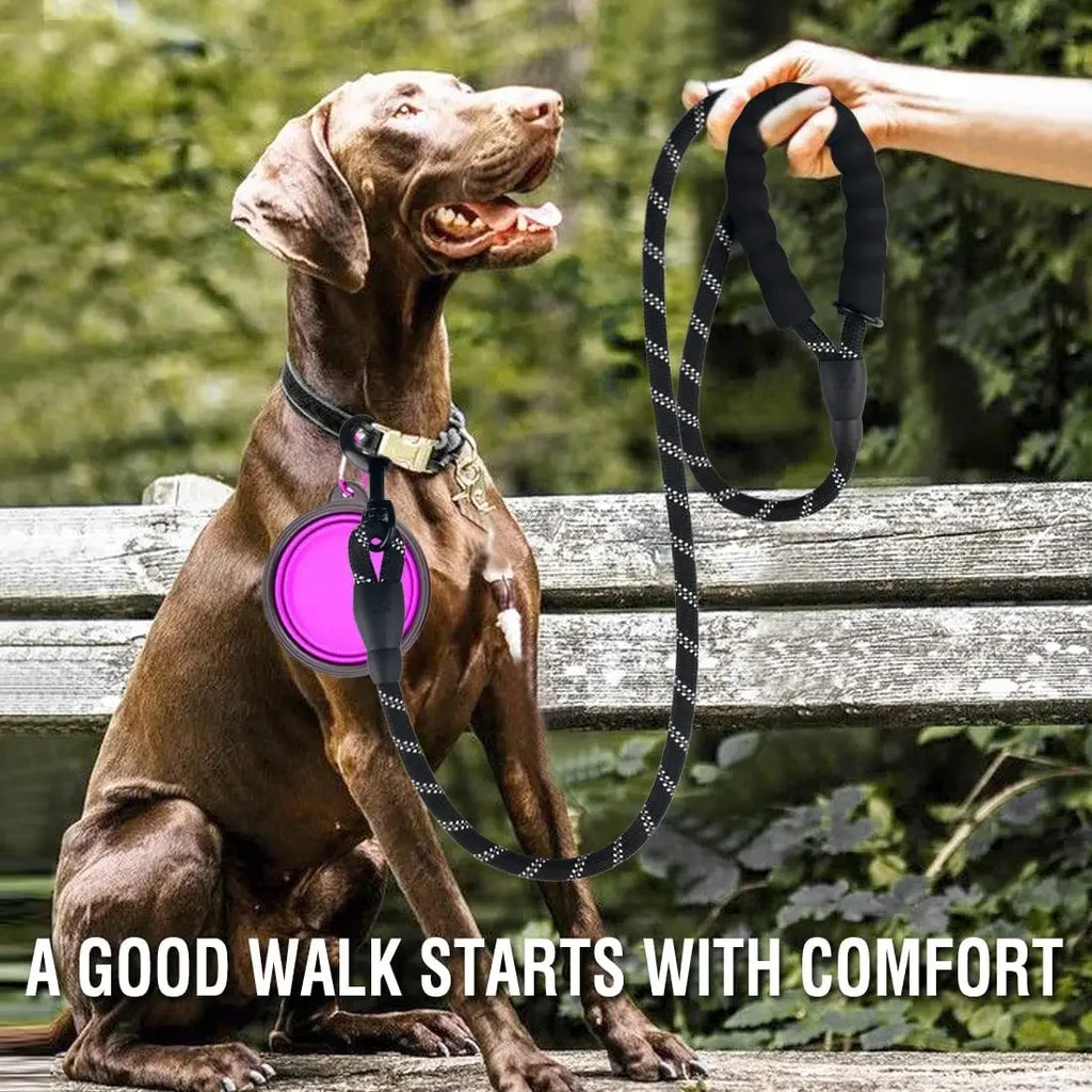 Reflective Dog Leash for Small, Medium & Large Dogs